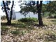 Lot 1  Coven Creek Road, Lake Bathurst NSW 2580