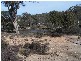 Lot 1  Coven Creek Road, Lake Bathurst NSW 2580