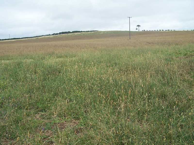 “Bolong Flats” Willcox Road, Laggan NSW 2583
