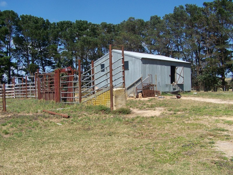 “Bolong Flats” Willcox Road, Laggan NSW 2583