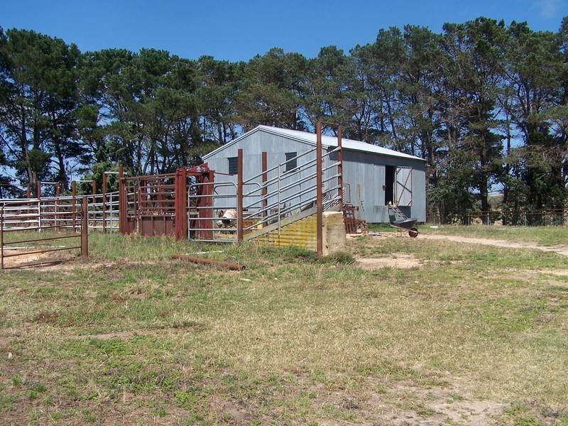“Bolong Flats” Willcox Road, Laggan NSW 2583