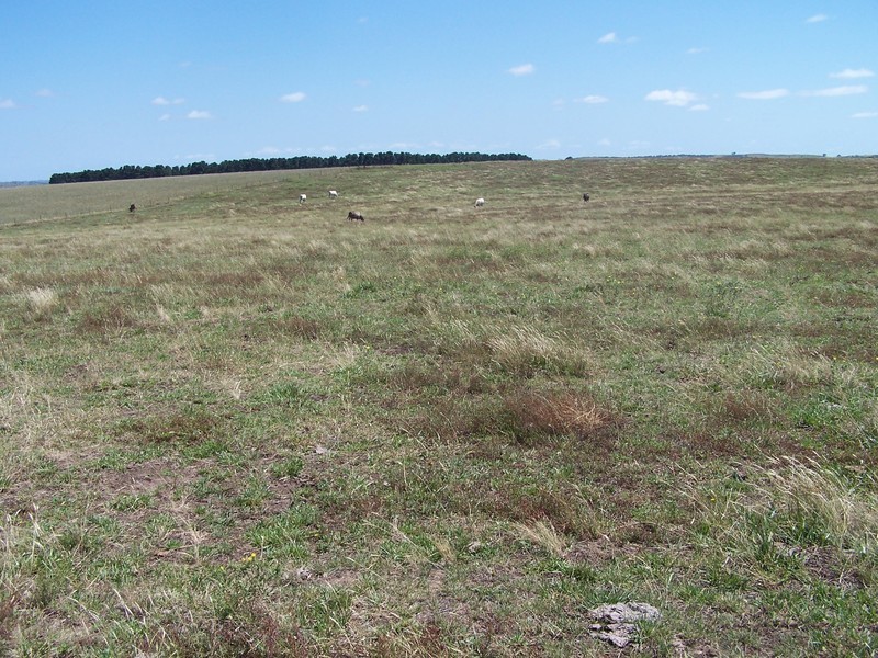 “Bolong Flats” Willcox Road, Laggan NSW 2583