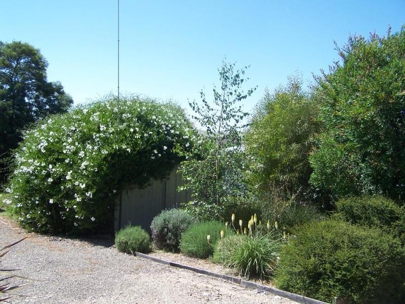 93 Chisholm Street, Taralga NSW 2580