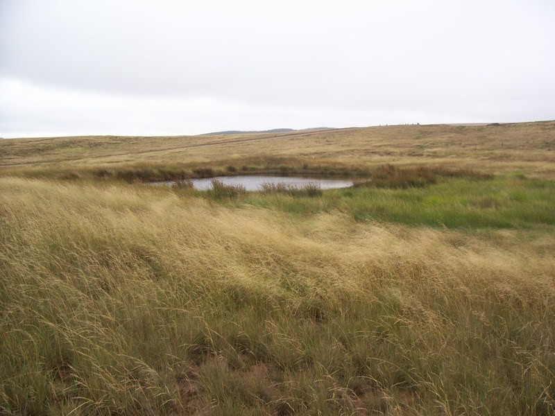 21 Bligh Lane, Woodhouselee NSW 2580