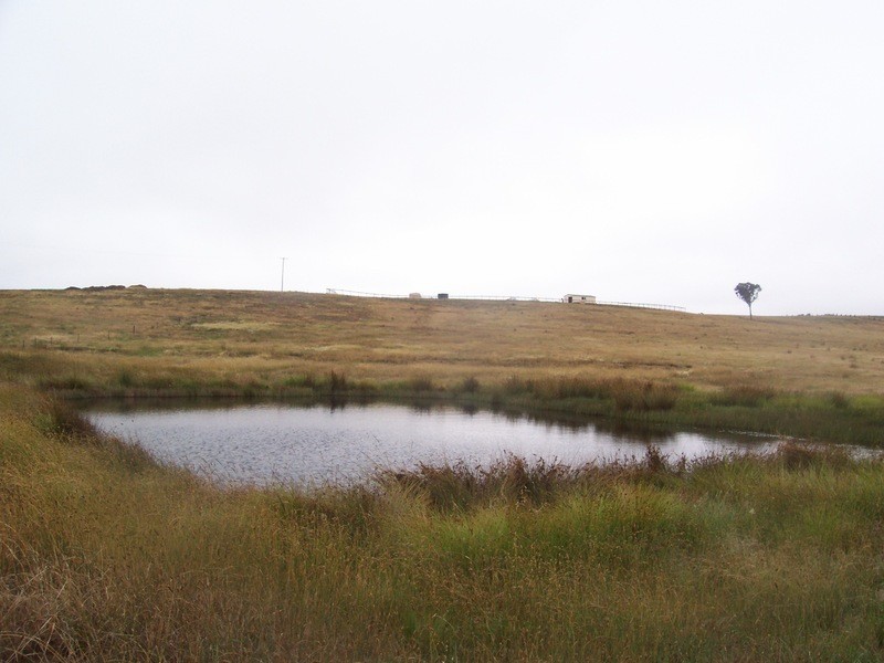 21 Bligh Lane, Woodhouselee NSW 2580