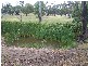 Lot 4 Lost River Road, Wheeo NSW 2583