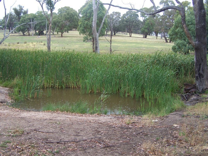 Lot 4 Lost River Road, Wheeo NSW 2583
