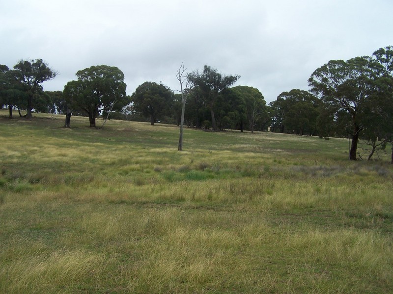 Lot 4 Lost River Road, Wheeo NSW 2583