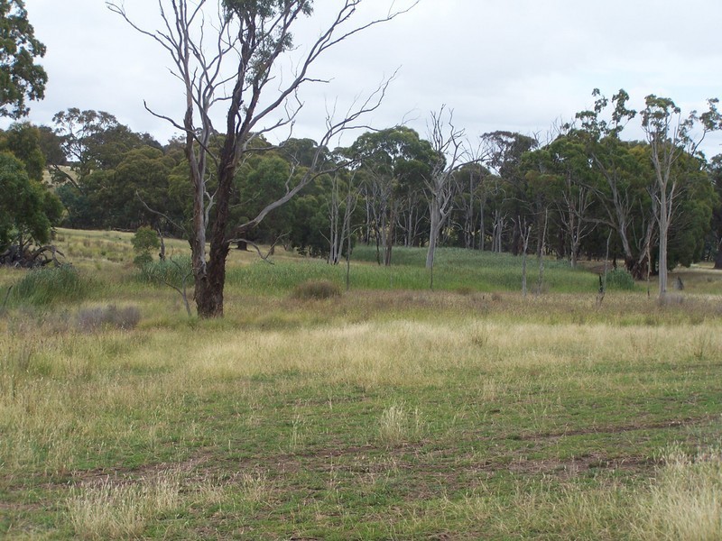 Lot 4 Lost River Road, Wheeo NSW 2583