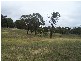 Lot 4 Lost River Road, Wheeo NSW 2583