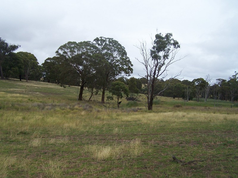 Lot 4 Lost River Road, Wheeo NSW 2583