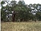 Lot 4 Lost River Road, Wheeo NSW 2583