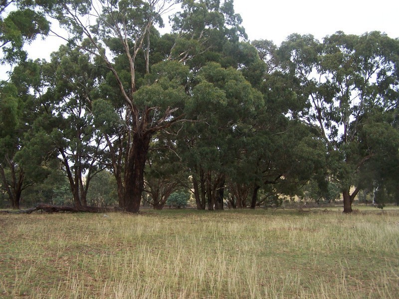 Lot 4 Lost River Road, Wheeo NSW 2583