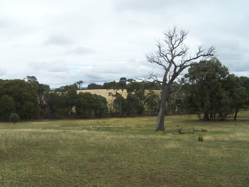 Lot 4 Lost River Road, Wheeo NSW 2583