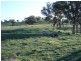 - Decca Road, Bigga NSW 2583