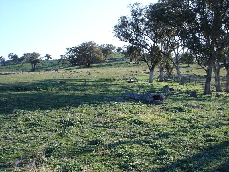- Decca Road, Bigga NSW 2583