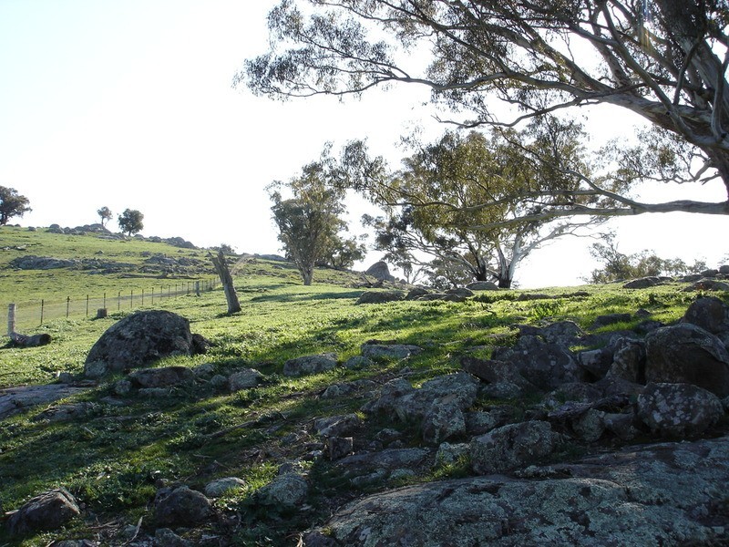 - Decca Road, Bigga NSW 2583