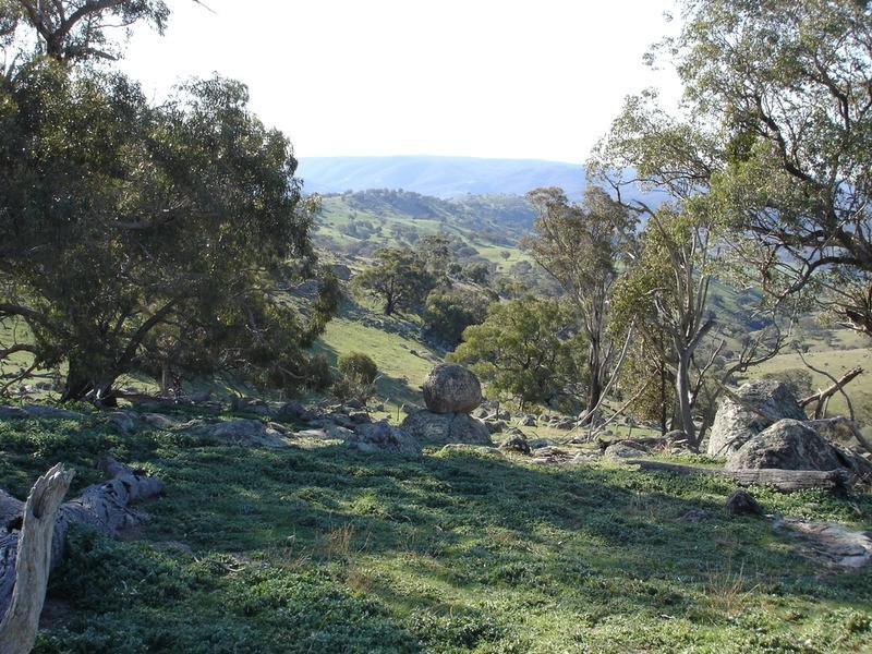 - Decca Road, Bigga NSW 2583