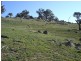 - Decca Road, Bigga NSW 2583