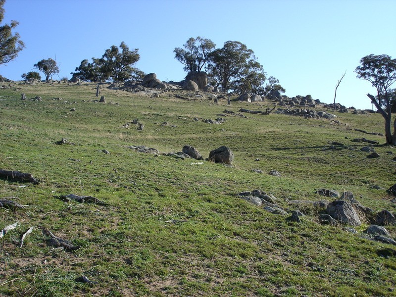 - Decca Road, Bigga NSW 2583
