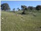 - Decca Road, Bigga NSW 2583