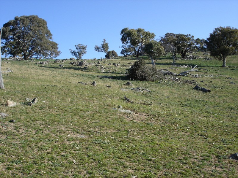 - Decca Road, Bigga NSW 2583