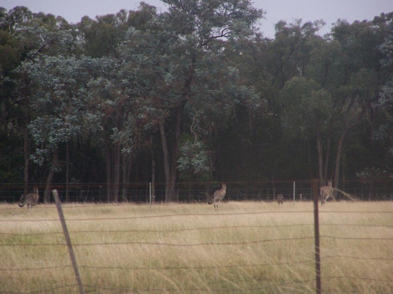 Lot 18 Coolabah Park, Bungonia NSW 2580