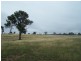 Lot 18 Coolabah Park, Bungonia NSW 2580