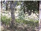 LOt 3 Covan Creek Road, Lake Bathurst NSW 2580