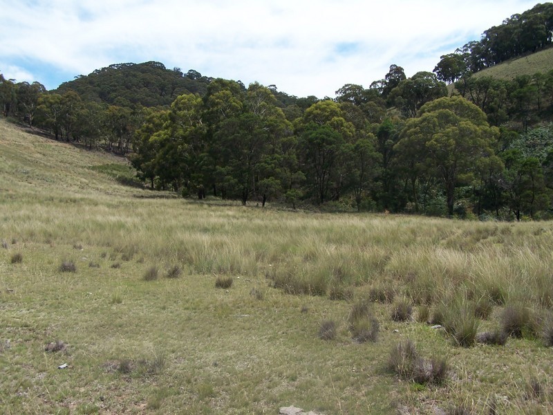 LOt 3 Covan Creek Road, Lake Bathurst NSW 2580
