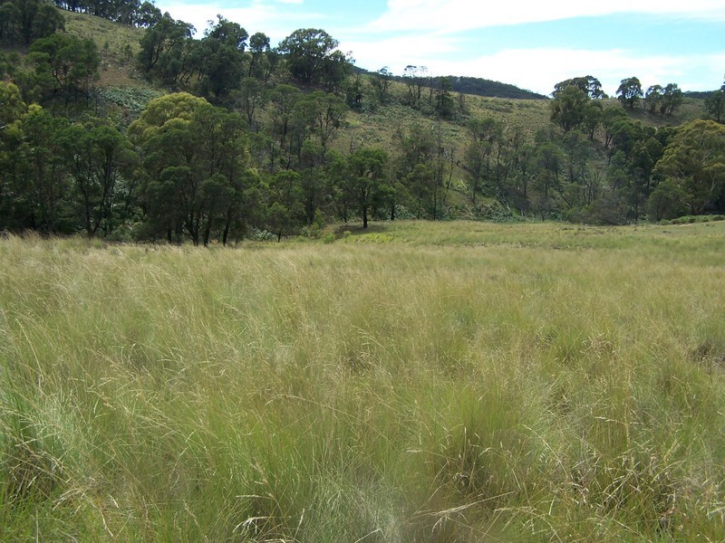 LOt 3 Covan Creek Road, Lake Bathurst NSW 2580