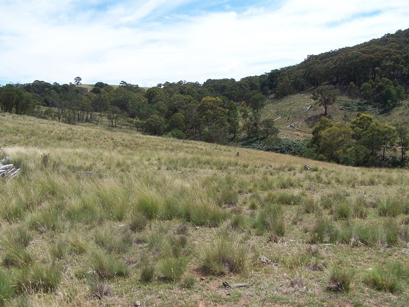 LOt 3 Covan Creek Road, Lake Bathurst NSW 2580