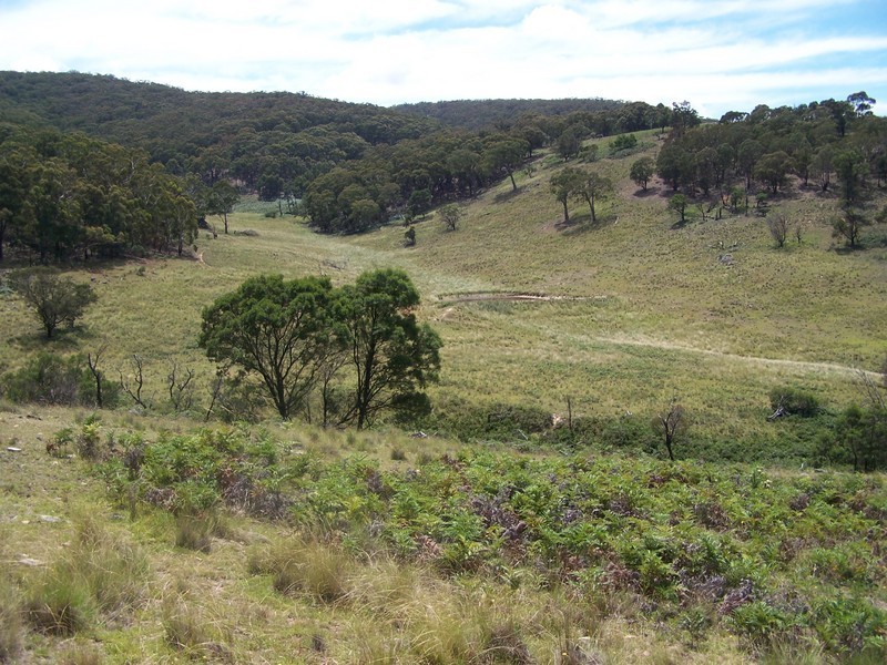 LOt 3 Covan Creek Road, Lake Bathurst NSW 2580