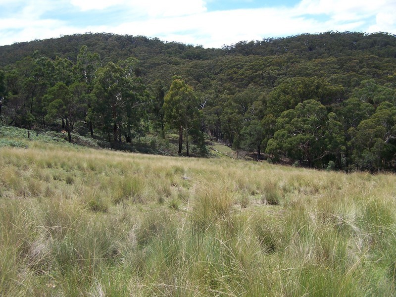 Covan Heights Lot 2 Covan Creek Road, Lake Bathurst NSW 2580