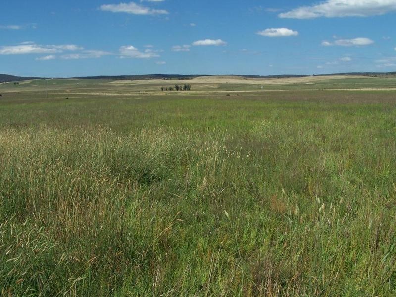 Lot 13 Off Windellama Road, Goulburn NSW 2580