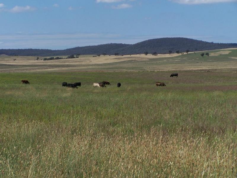 Lot 13 Off Windellama Road, Goulburn NSW 2580
