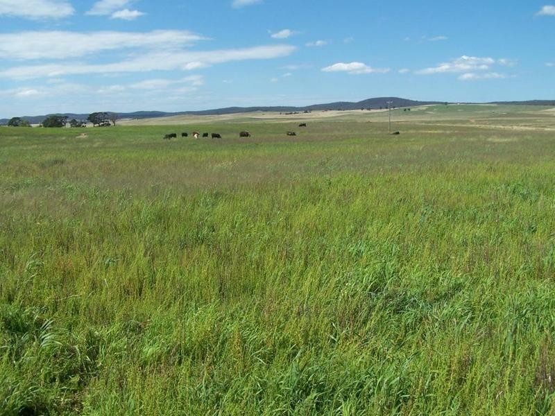 Lot 13 Off Windellama Road, Goulburn NSW 2580