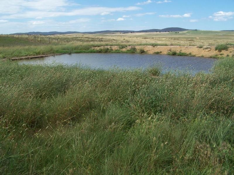 Lot 13 Off Windellama Road, Goulburn NSW 2580