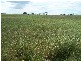 Lot 13 Off Windellama Road, Goulburn NSW 2580