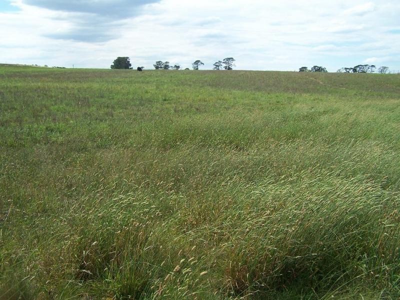 Lot 13 Off Windellama Road, Goulburn NSW 2580