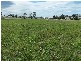 Lot 13 Off Windellama Road, Goulburn NSW 2580