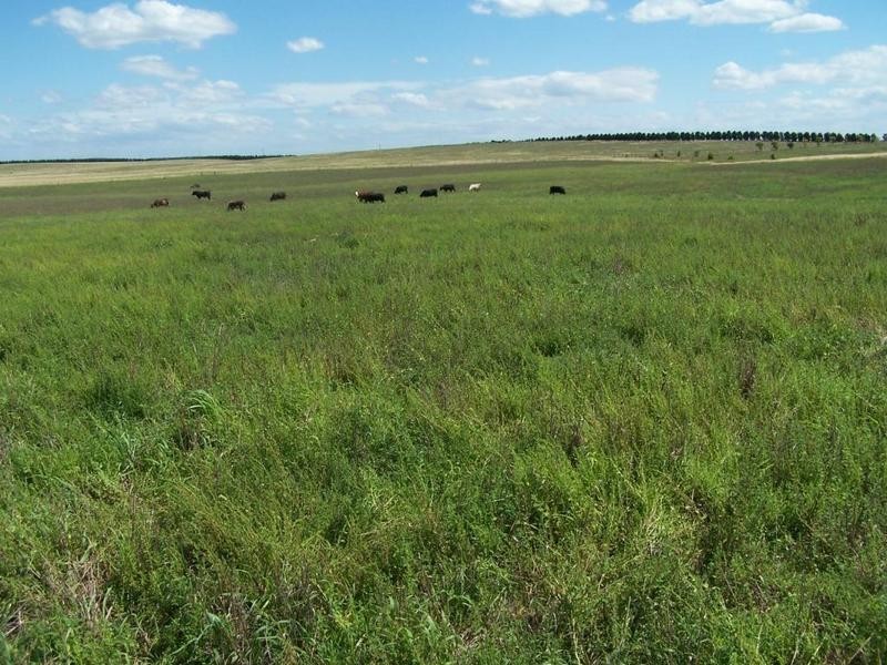 Lot 13 Off Windellama Road, Goulburn NSW 2580