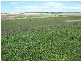 Lot 13 Off Windellama Road, Goulburn NSW 2580