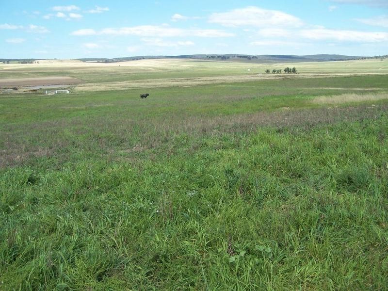 Lot 13 Off Windellama Road, Goulburn NSW 2580