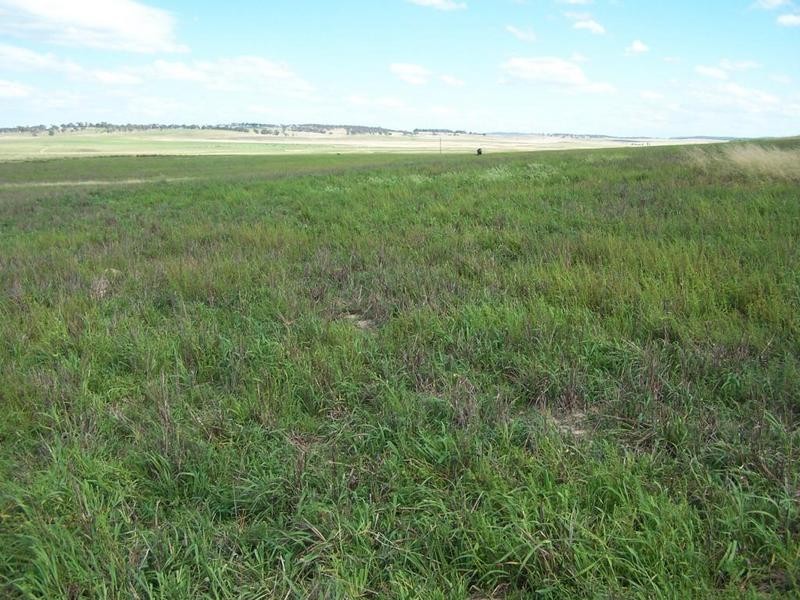 Lot 13 Off Windellama Road, Goulburn NSW 2580