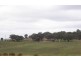 88 Greendale Crescent, Goulburn NSW 2580
