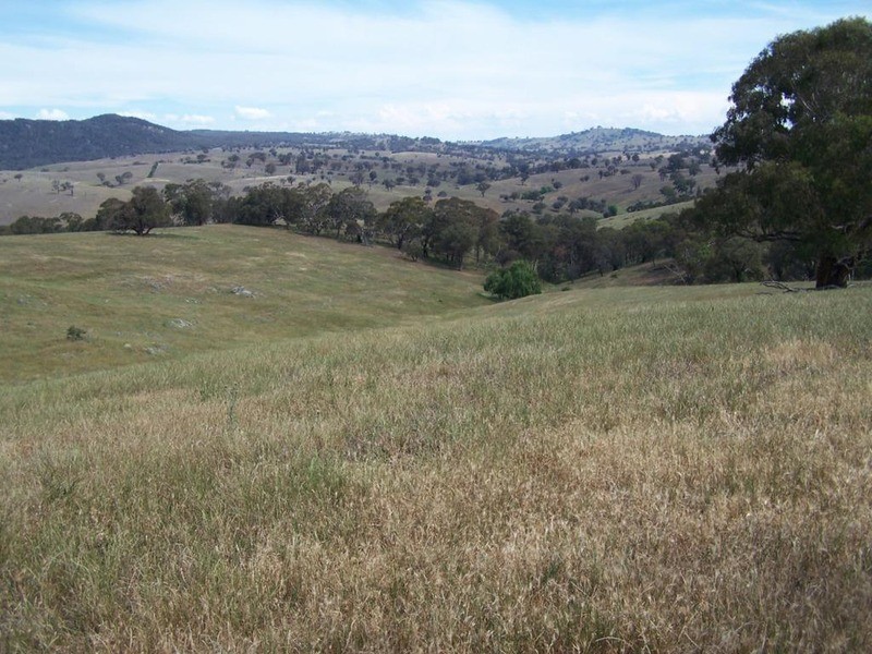 141 Blackmans Road, Bigga NSW 2583