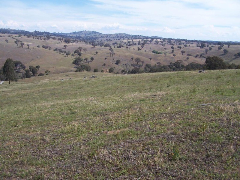 141 Blackmans Road, Bigga NSW 2583