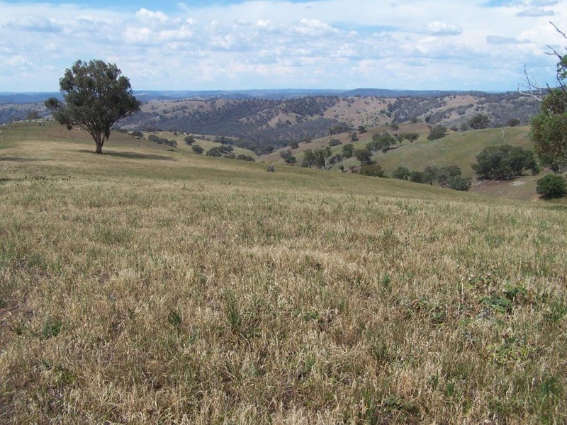 141 Blackmans Road, Bigga NSW 2583