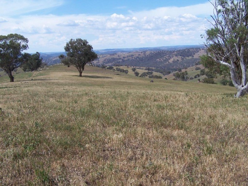 141 Blackmans Road, Bigga NSW 2583